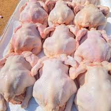 Slaughtered and cleaned broiler chicken